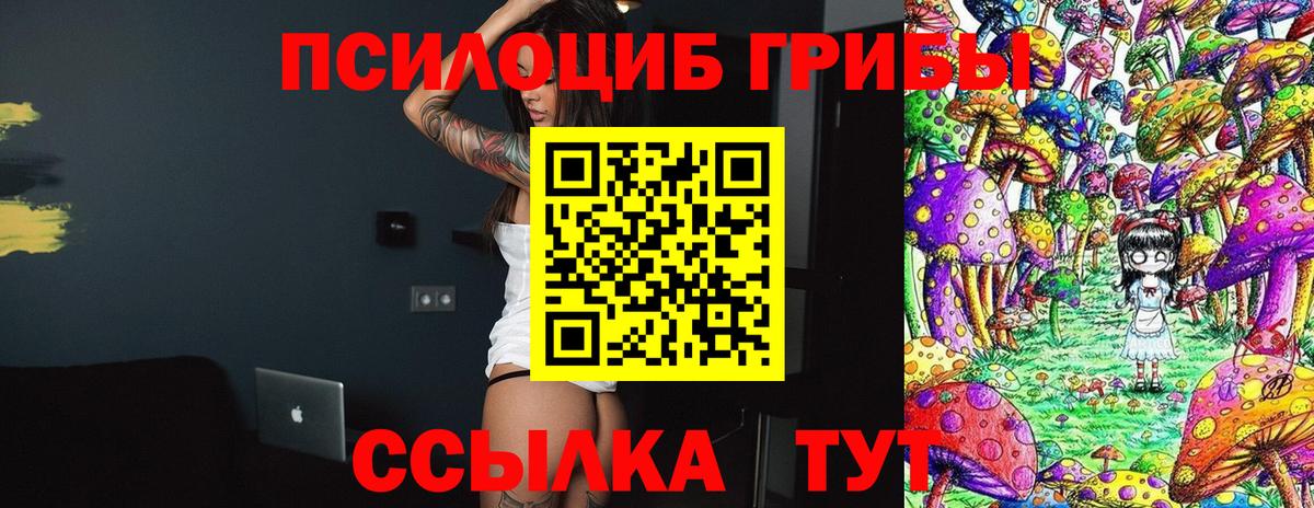 Псилоцибиновые грибы прущие грибы Набережные Челны